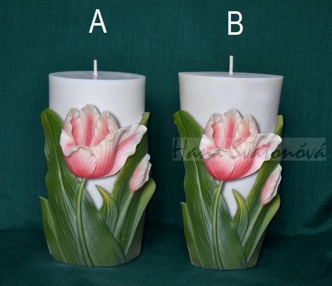 Tulipány Válec konický - výška 12,5cm