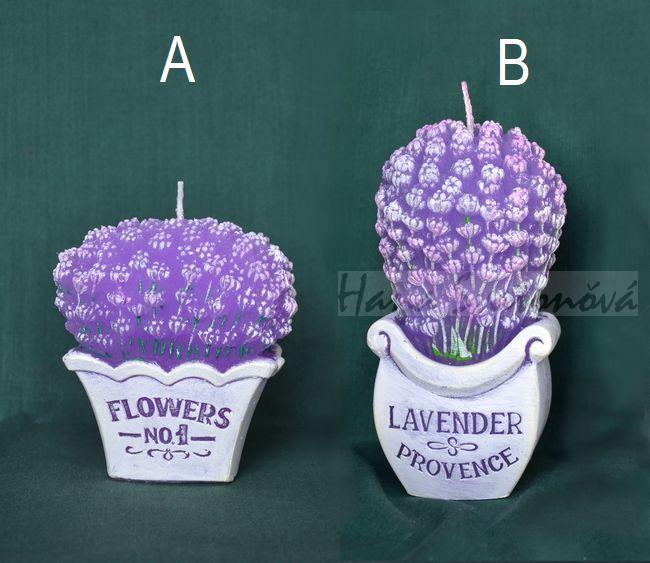 Levandule v květináči - výška 14cm