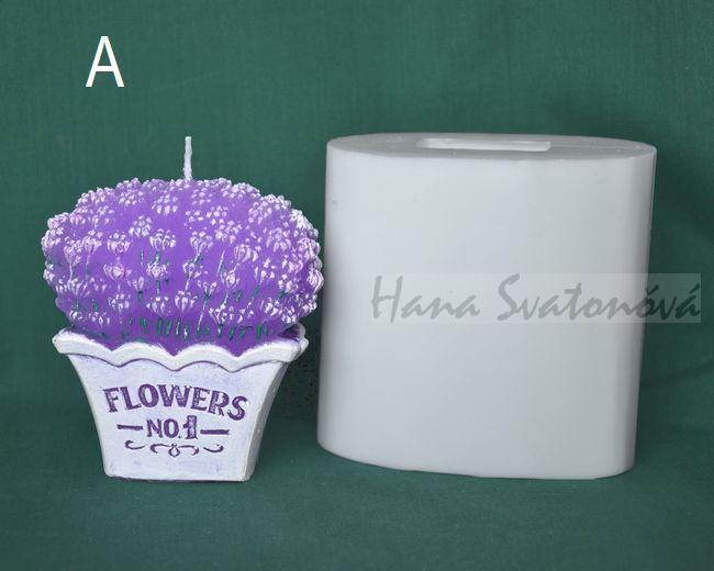 Levandule v květináči - výška 14cm